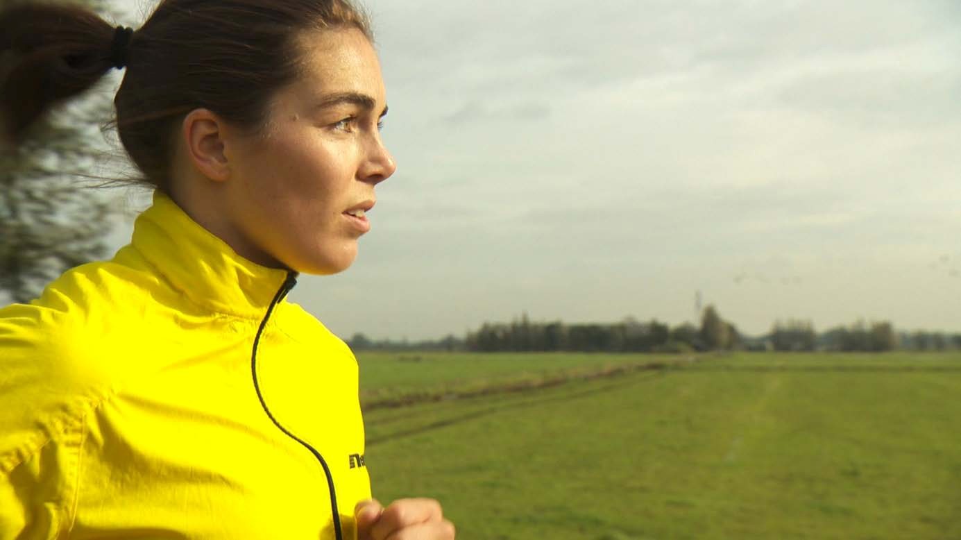 Het documentaire project